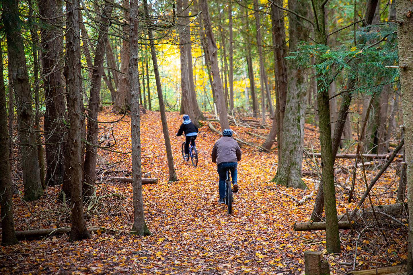 Cyclists on an autumn trail.