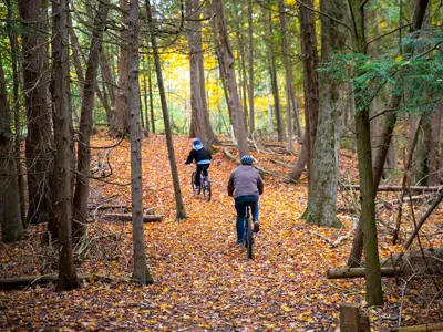 Cyclists on an autumn trail.