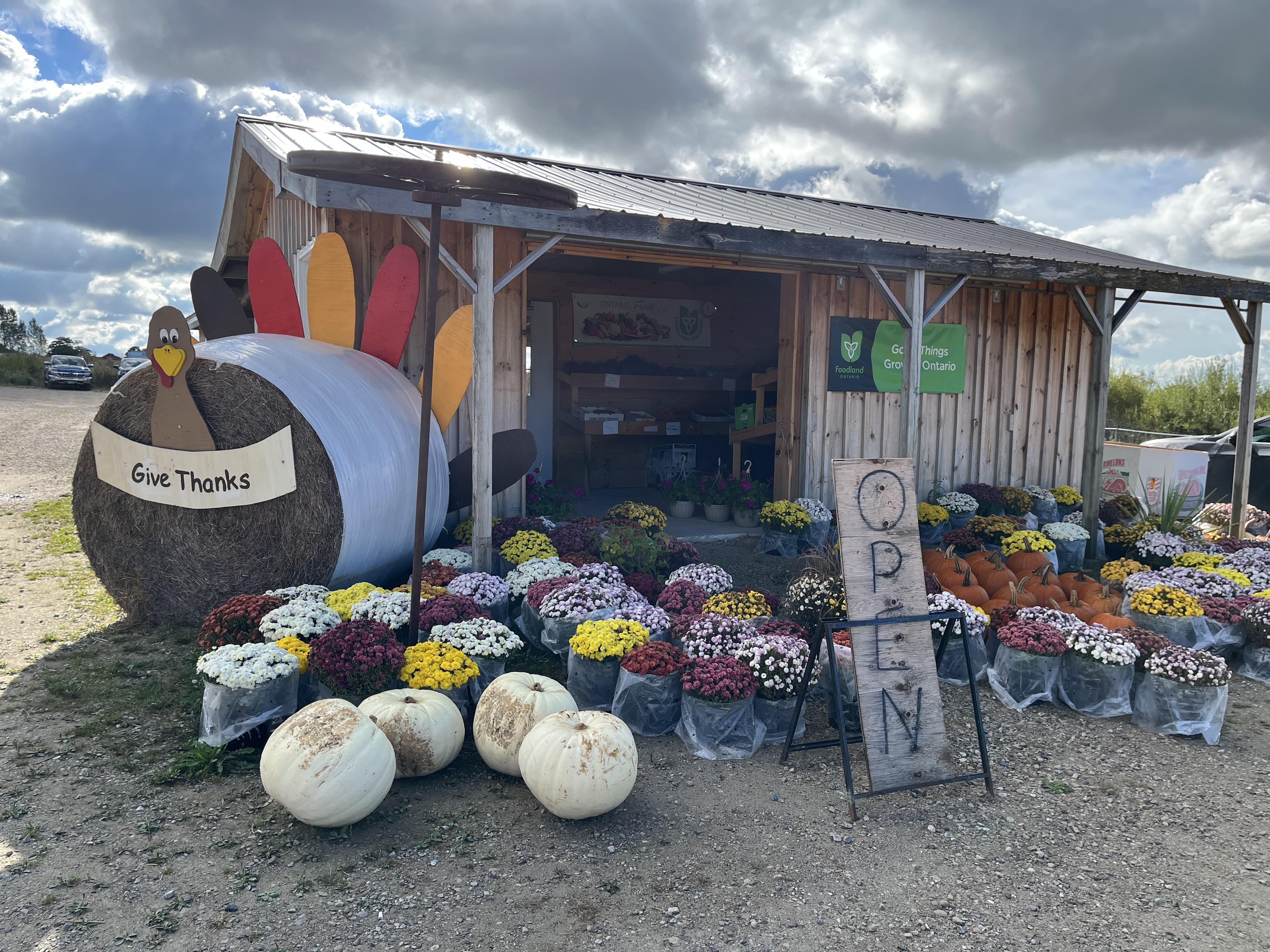 beefway farm stand with pumpkins, mums, and turkey made of hay bale